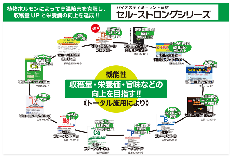 セルストロングシリーズ_商品画像_ ＭＬセルインパクト